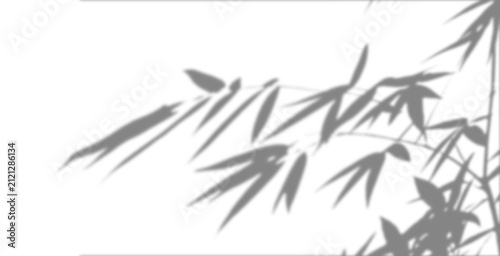 Bamboo Leaves Shadow Overlay PNG for Product Display