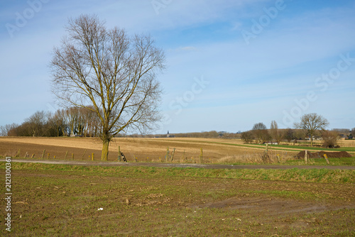 A serene rural landscape features a bare tree, vast fields under a blue sky, and a distant church steeple. Late winter or early spring scene.