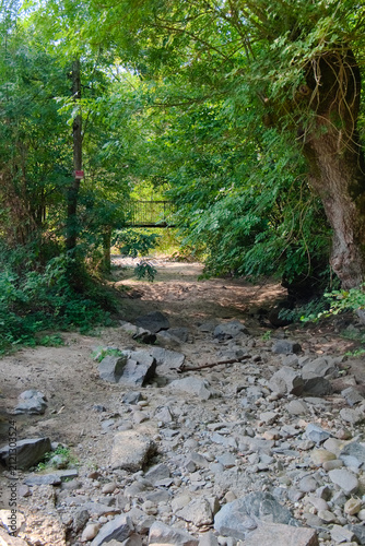 Canvas Print Lit complètement asséché de la rivière Yzeron sous un pont bordé d'arbres en été
