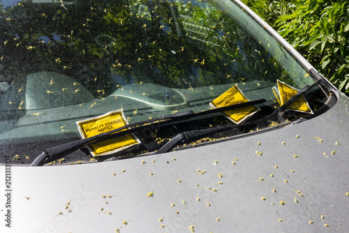 Parking tickets, penalty for unauthorised parking.