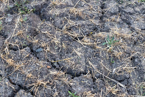 Dry cracked field caused by drought conditions 