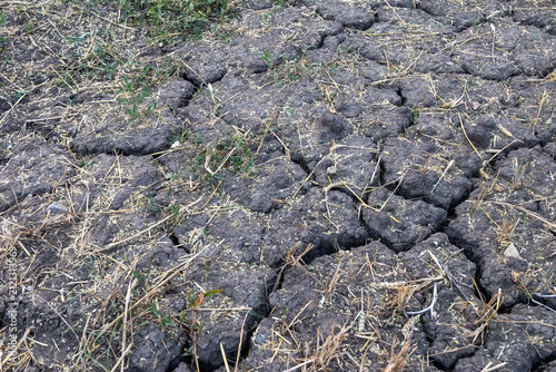 Dry cracked field caused by drought conditions 