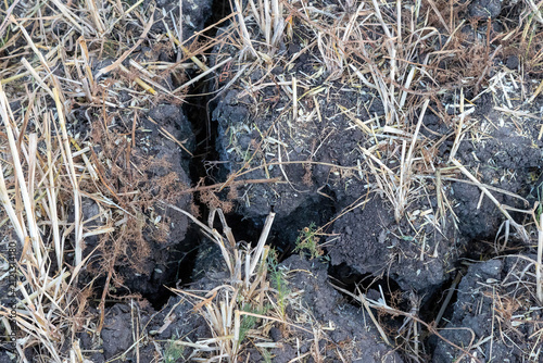 Dry cracked field caused by drought conditions 