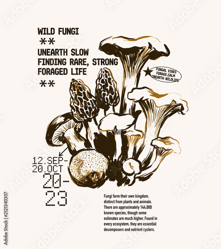Bild auf Leinwand Wild fungi foraged life