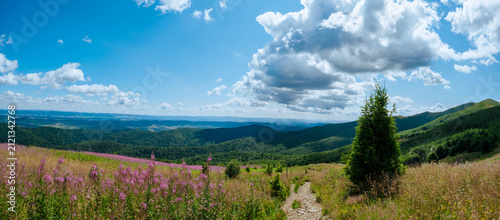 Mountain panorama with a blue sky and white clouds above a hiking trail. Bieszczady Mountains, Bukowe Berdo.