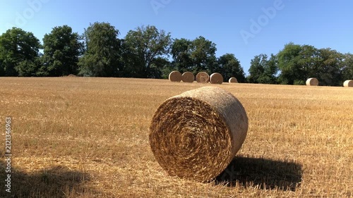 Round rolled hay bales in a mowed wheat or agricultural field on a sunny summer day in the rural countryside in Germany Europe