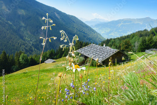 altes Bauernhaus in den Alpen von Österreich