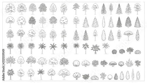 Tree Elevation CAD Blocks Landscape Architecture Monoline Vector Symbol Collection