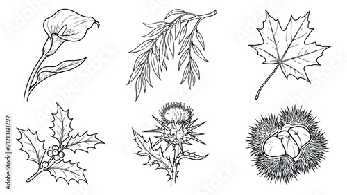 Vintage botanical line art collection, 6 hand drawn floral and leaf vector elements, black and white nature sketches for wedding invitations and branding