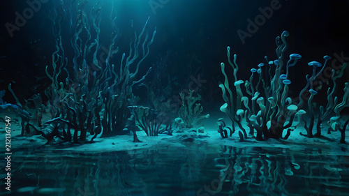underwater world in the aquarium