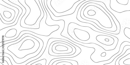Topographic map background geographic line map with elevation assignments. Modern design with White background with topographic wavy pattern design.Topography grid contour map on white background