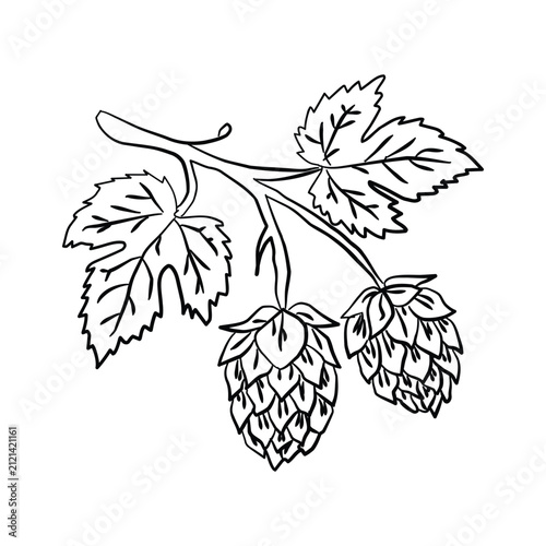 Fruit Tart Doodle Vector