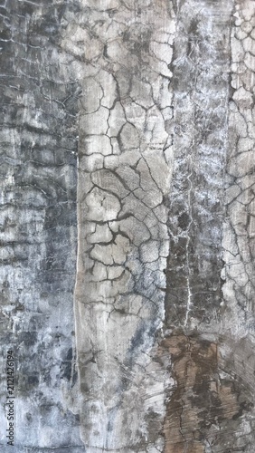 фотографія Cracked surface shows weathered texture
