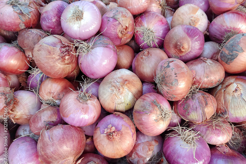 Cuadro en lienzo The onion, also known as the bulb onion or common onion, is a vegetable that is the most widely cultivated species of the genus Allium