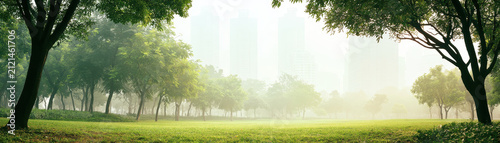 City park urban park green park grass field morning fog tree line city skyline soft light nature landscape tranquil scene Urban park green park grass field morning fog tree line city skyline soft