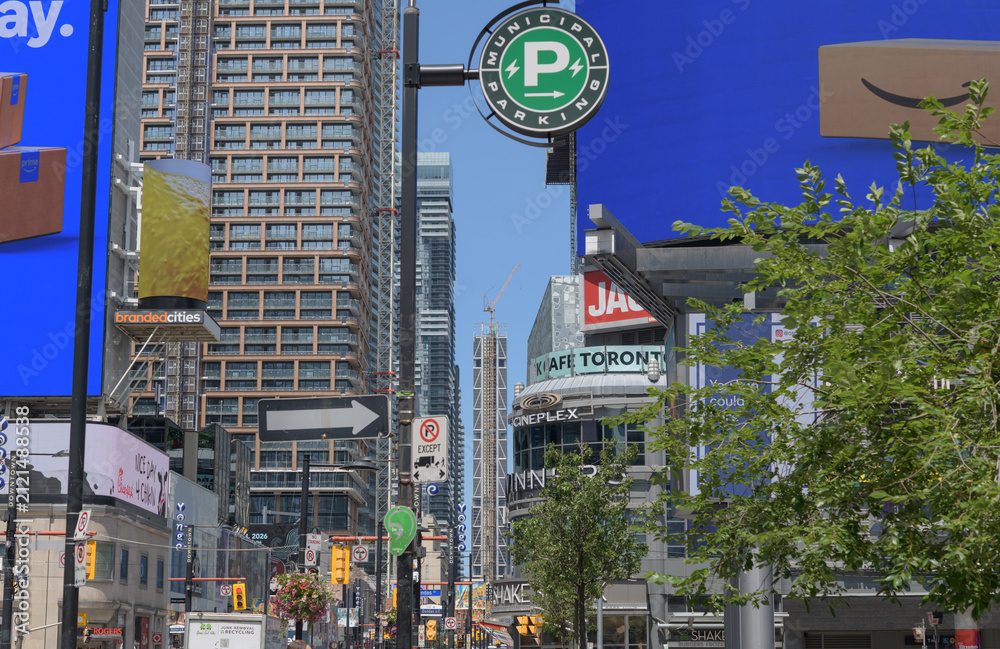 Fototapeta premium looking north on Yonge St from Sankofa Square, Toronto
