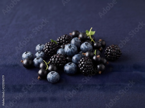 Fresh blueberries, blackberries, and blackcurrants arranged together on a deep indigo monochromatic background, soft diffused light, luxury minimal style, commercial stock image