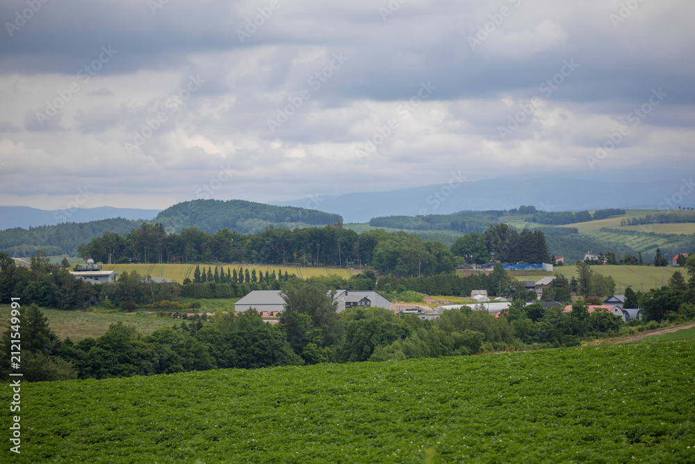 Fototapeta premium Biei hills in summer in Hokkaido, Japan