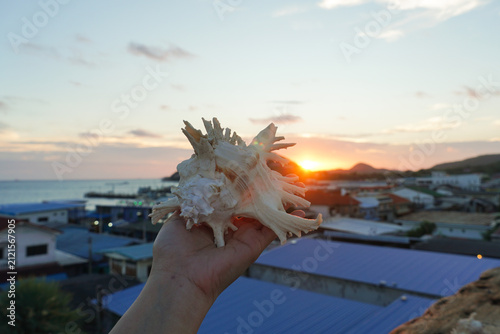 Hand holding seashell with sunset reflection on the ocean. Close up of hand holding a beautiful white seashell against the ocean and sandy beach