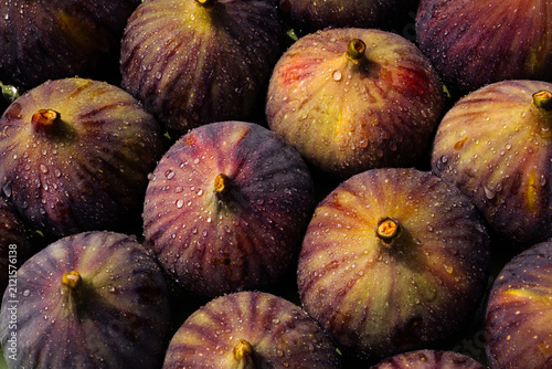 Fresh ripe figs covered with natural water droplets displayed from a side view. Juicy Ficus carica fruit showcasing organic farming, healthy eating, gourmet ingredients and premium fresh produce.