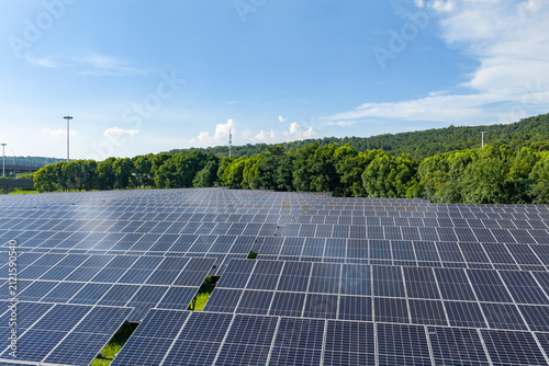 Solar panels stretching across open green land