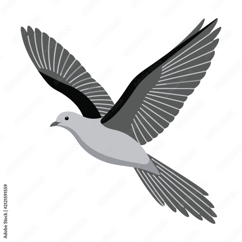 Obraz premium Gray bird in flight with outstretched wings on white background
