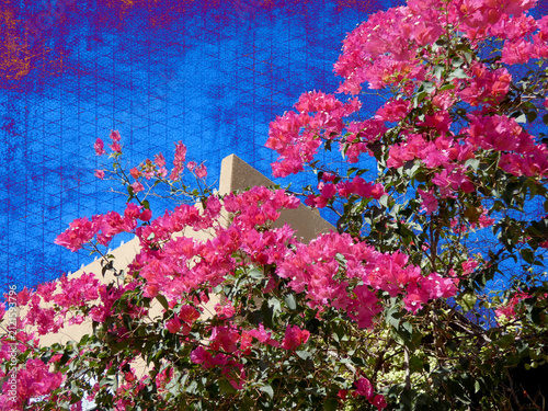 photo of bright red-pink bougainvillea flowers and corner of and adobe building with altered sky with grunge and grid texture