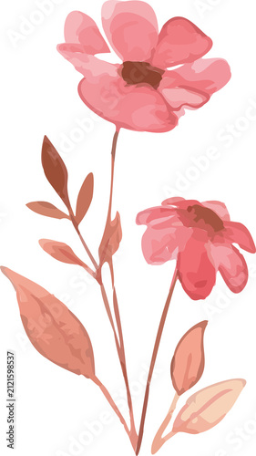 pink rose flower
