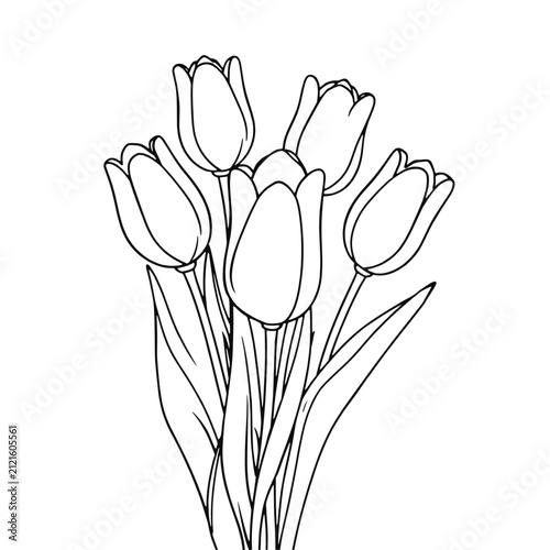 Elegant Outline Drawing Of Spring Tulips In A Bouquet