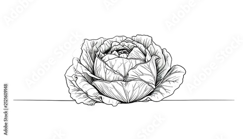 Intricate line art illustration of a crumpled paper ball.