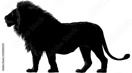A striking silhouette of a lion, showcasing its powerful build and majestic mane