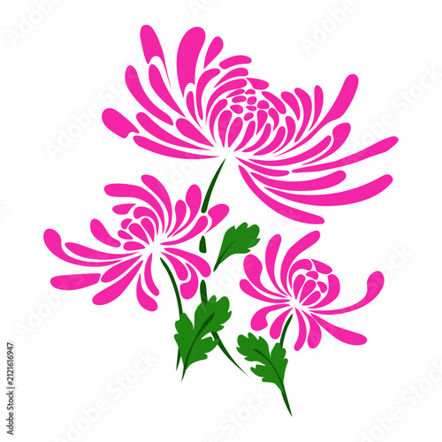 Pink chrysanthemums with leaves