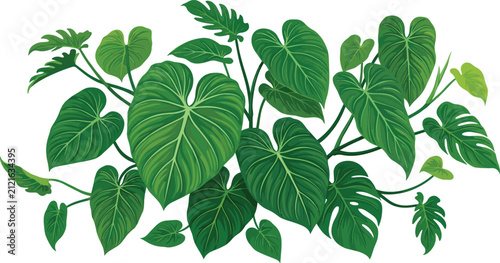 Картината върху платно Tropical monstera and philodendron foliage leaves vector illustration isolated o