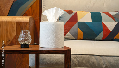 Cozy Living Room Scene with Tissue Box and Decorative Pillow.