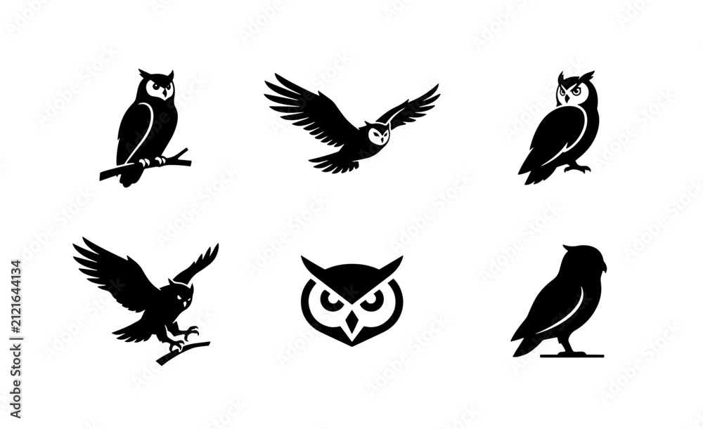Fototapeta premium 70 Vector Owl Icons Set: Nocturnal Bird Silhouettes, Flying & Perched Wildlife Graphics, Wise Animal Emblems for Nature and Education 100