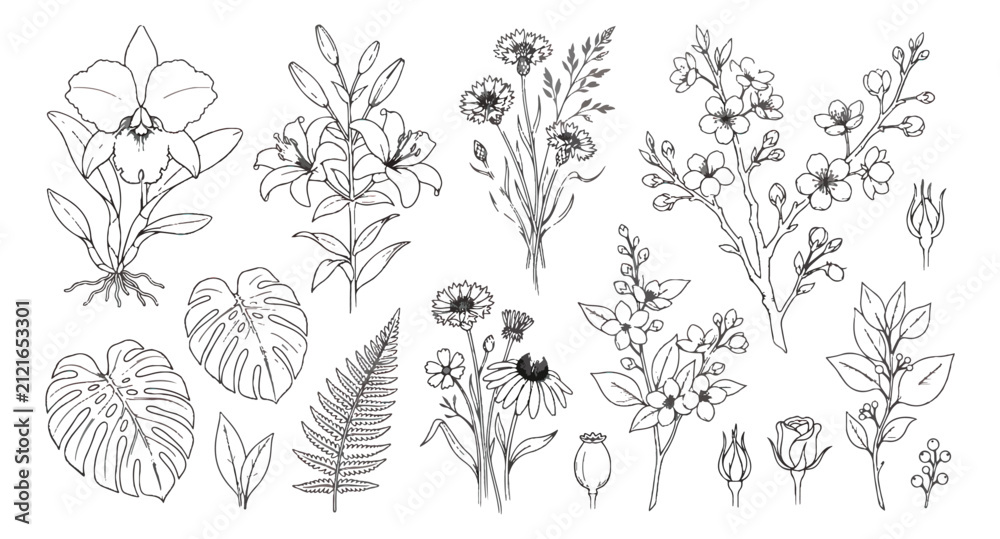 Fototapeta premium Minimalist botanical line art collection, hand drawn floral vector set with wildflowers and tropical leaves, elegant black and white garden illustrations