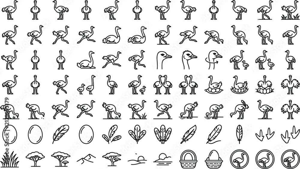 Obraz premium Outline Ostrich and African Wildlife Line Icon Set with Running Birds, Eggs, Feathers, Nests, Chicks, and Savanna Acacia Tree Symbols for Nature Media