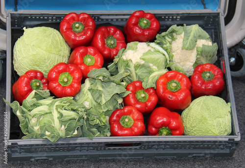 A Plastic Box Holding Red and Green Fresh Vegetables.