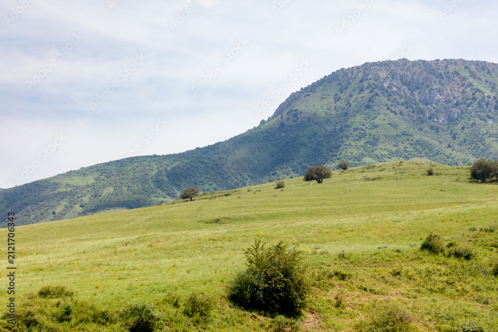 Fototapeta premium Lush green hillside under partly cloudy sky