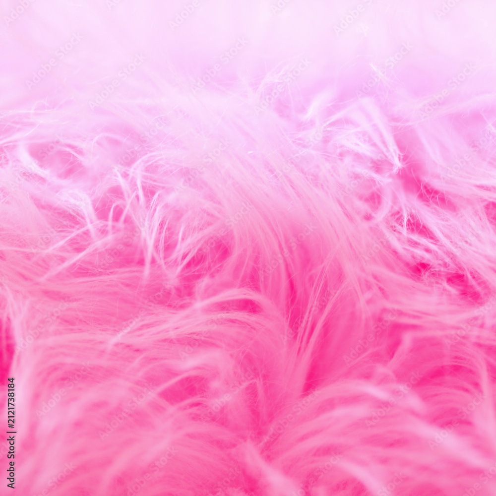 Fototapeta premium pink feathers background