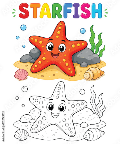 Cute Starfish Coloring Page and Colored Cartoon Vector Illustration for Kids Educational Worksheet