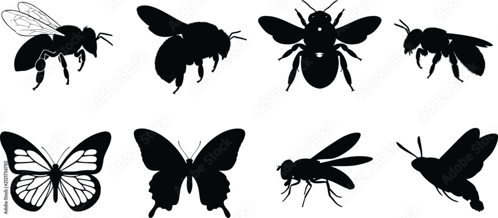 Fototapeta premium Set of bee and butterfly silhouettes collection