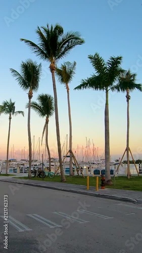 Vertical POV walk through Coconut Grove marina in Miami at sunset featuring yachts, calm waterfront, golden light and a relaxed coastal atmosphere.