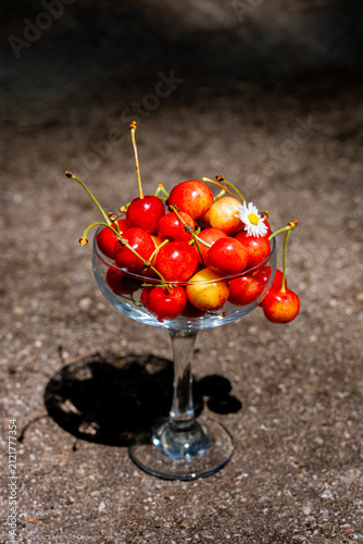 Fresh cherry harvest in elegant clear stemmed glass