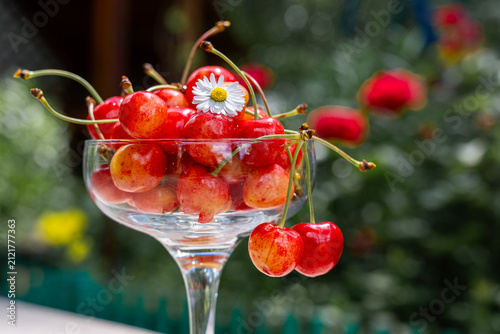 Fresh cherry harvest in elegant clear stemmed glass