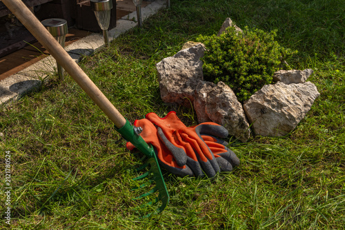 DIY miniature rock garden with ornamental plants in backyard