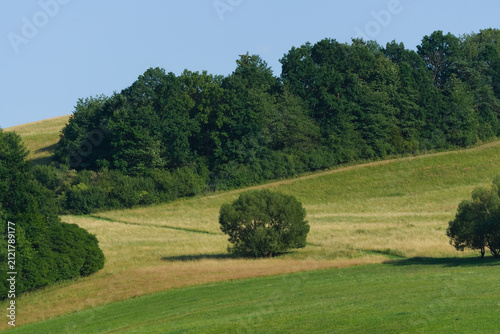 Beautiful rural landscape with rolling green hills, meadows and fields under a blue sky during summer