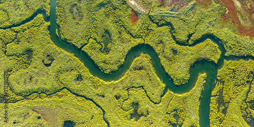 Aerial view of vibrant textures in Guadalquivir Marshes