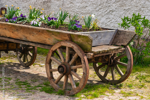 An old wooden cart adapted for a flower bed