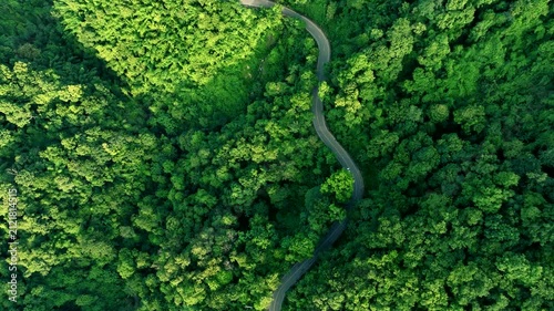 Scenic aerial forest road representing climate resilience, sustainable transportation, Renewable Energy Transition, Environmental Management, Green Economy, and long-term responsible corporate develop
